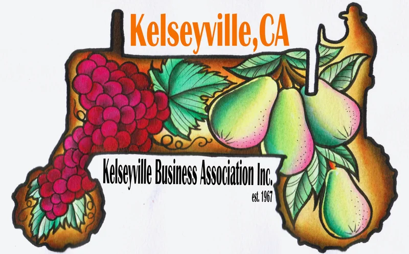 Welcome to Kelseyville Business Association's FREE public Wi-Fi!